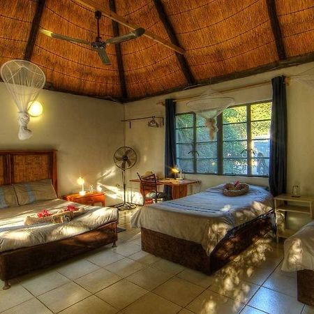 Okavango River Lodge Μαούν Εξωτερικό φωτογραφία